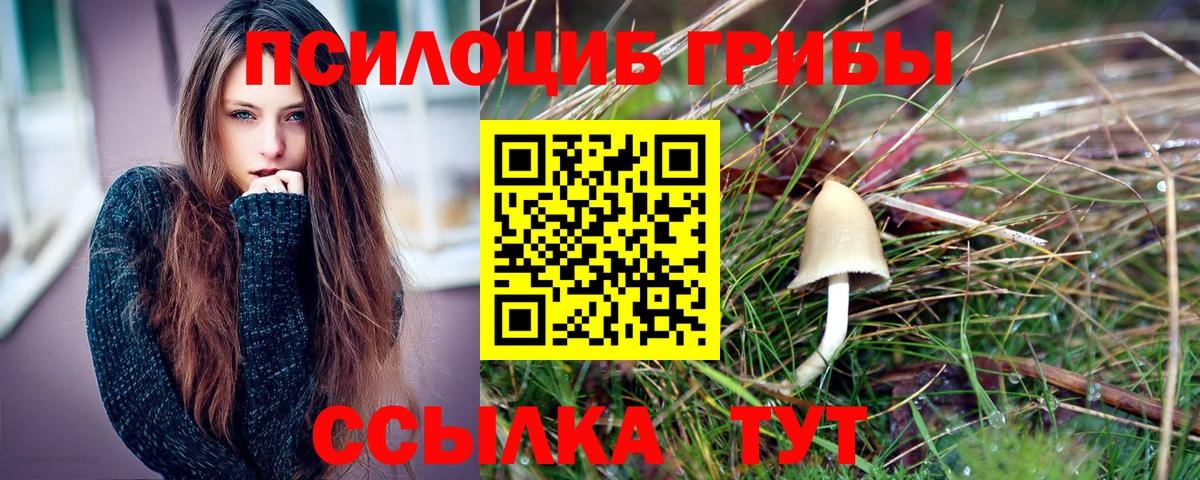 Галлюциногенные грибы Psilocybine cubensis  Галлюциногенные грибы Magic Shrooms  Вход с VPN  Мичуринск 